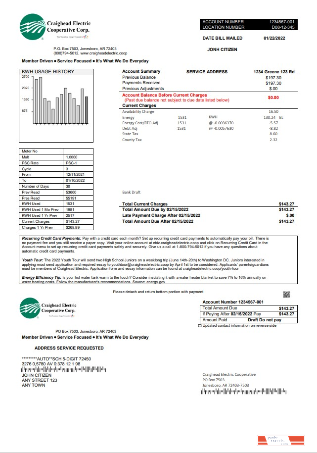 USA Craighead Electric utility bill template in Word and PDF format